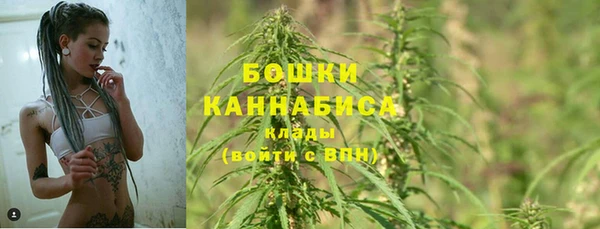 прущие крисы Каменногорск