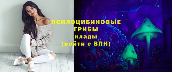 прущие крисы Каменногорск