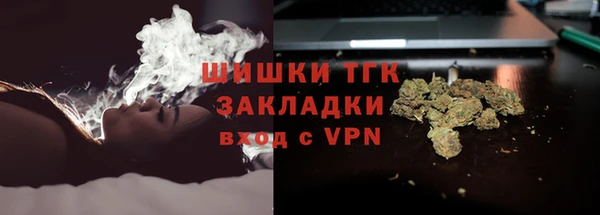 эйфоретик Каменка