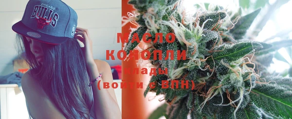 эйфоретик Каменка