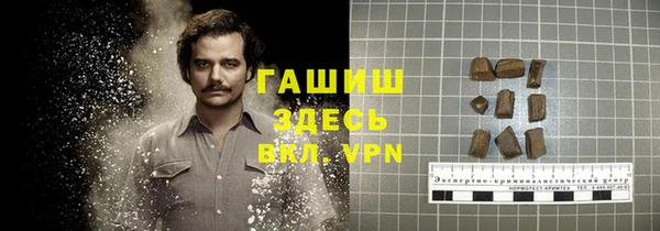 эйфоретик Каменка