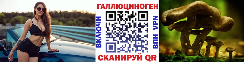 Купить  Заозёрск  Галлюциногенные грибы Cubensis 